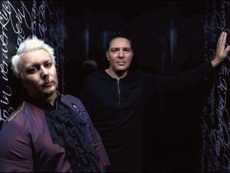 TRACK OF THE DAY: SHELTER - THIS MUST BE LOVE