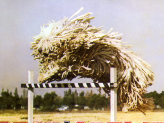 Classic Album Revisited: Beck - Odelay, 20 years on 1