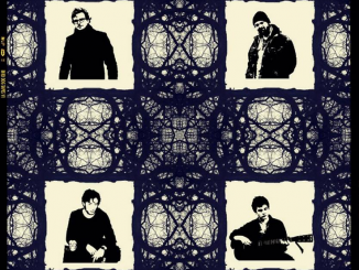 Members of The Coral and The Lost Brothers pay tribute to Townes Van Zandt