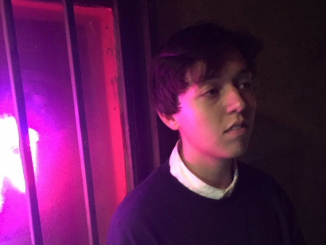 Track of the Day: FOLIAGE - 'Silence'