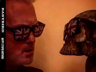 VIDEO PREMIERE: Babybird - King Of Nothing - from new album Happy Stupid Nothing out March 1