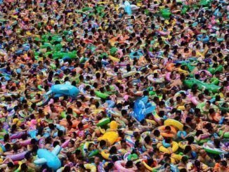 ALBUM REVIEW: Elbow - Giants of all Sizes