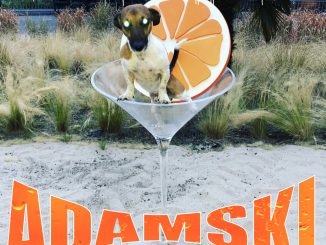 TRACK PREMIERE: ADAMSKI feat. NINA HAGEN "DON’T KILLER ANIMALS” 1