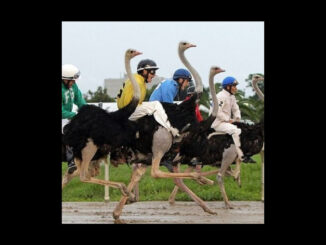 TRACK PREMIERE: Winachi - Characters