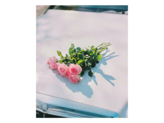 ALBUM REVIEW: Foals - Life Is Yours