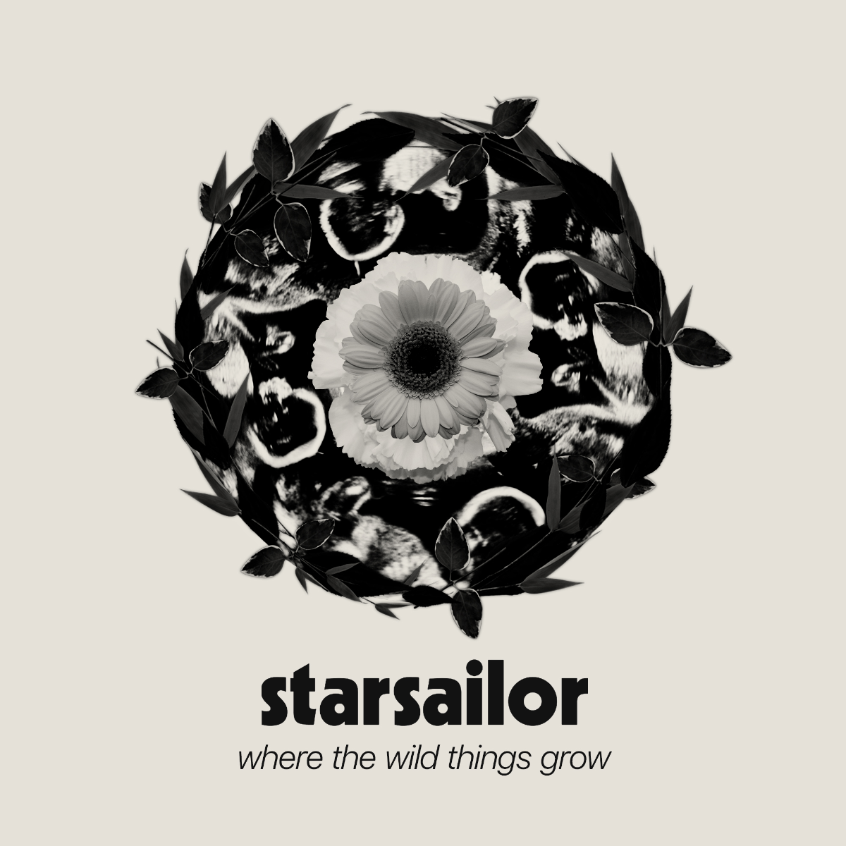 Starsailor