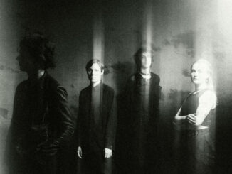 The Horrors